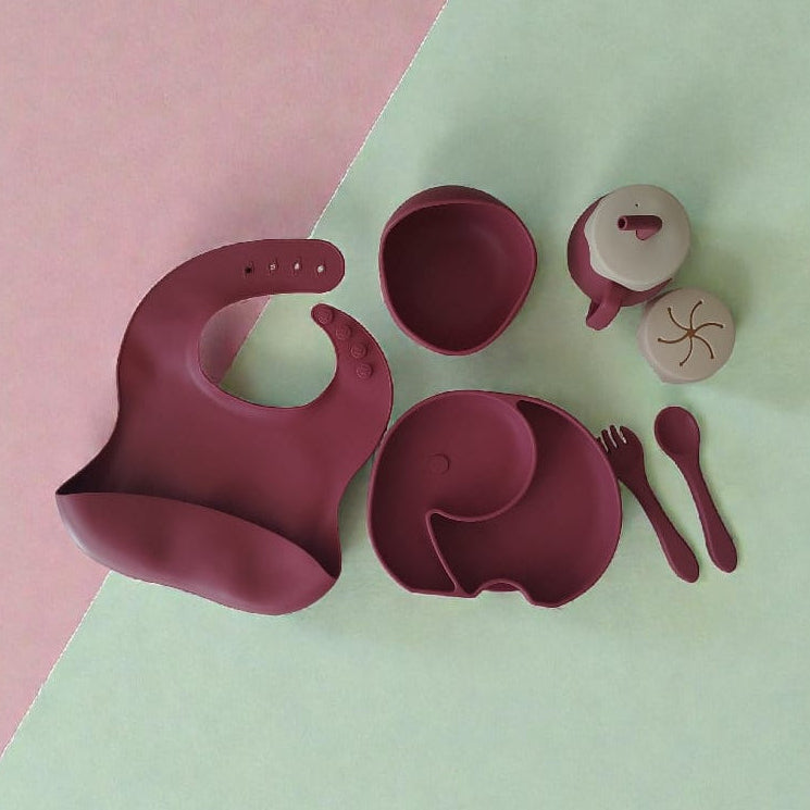 Set de Alimentación de Silicona Completo