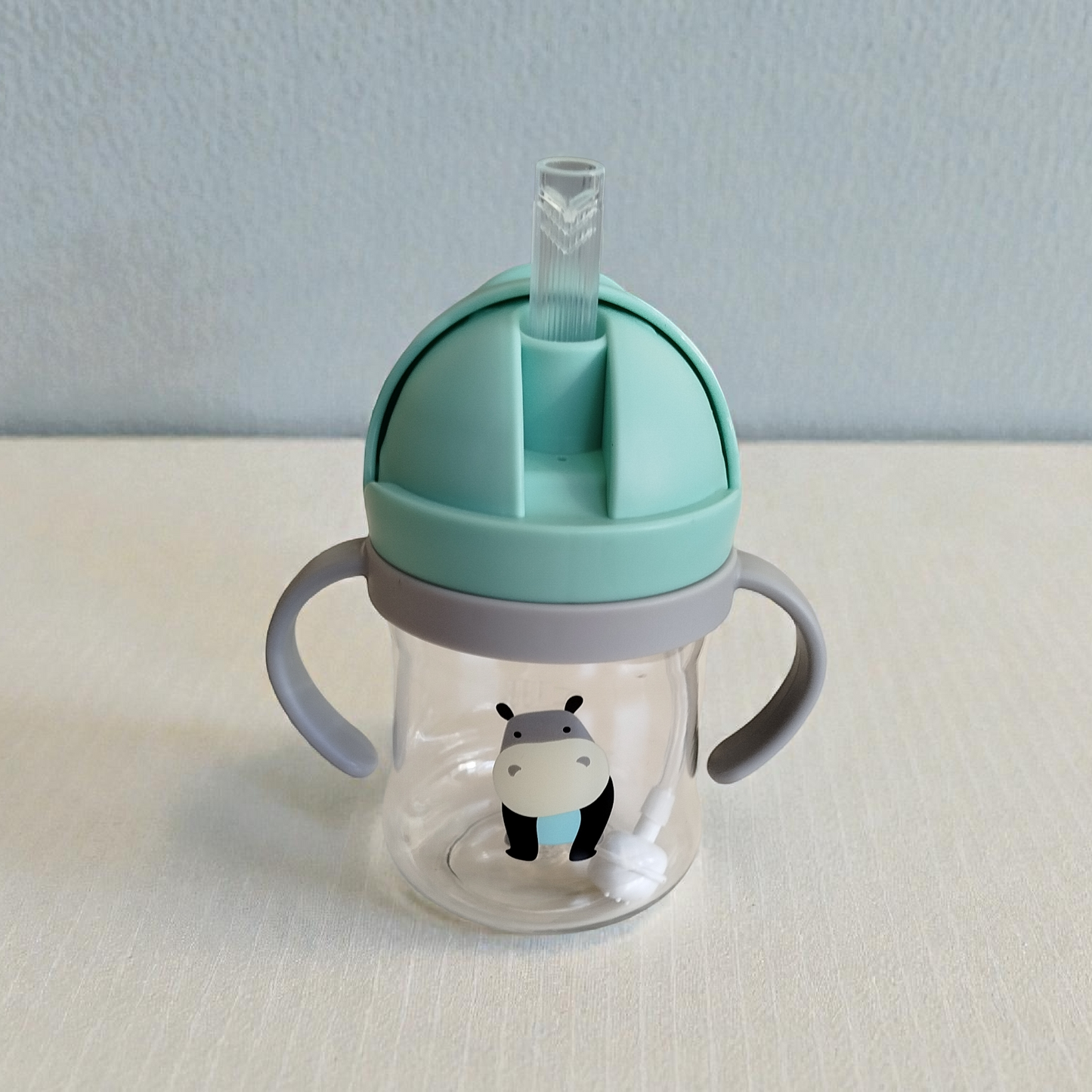 Botella con Bombilla 360° - 250ml