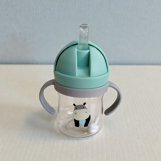 Botella con Bombilla 360° - 250ml